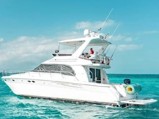 Iate SeaRay Flybridge de 53 pés em Cancún - capacidade para até 18 pessoas!