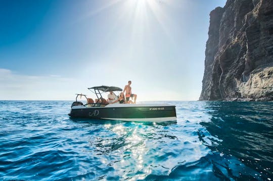 Brand new Center Console Boat Rental in Los Gigantes Tenerife
