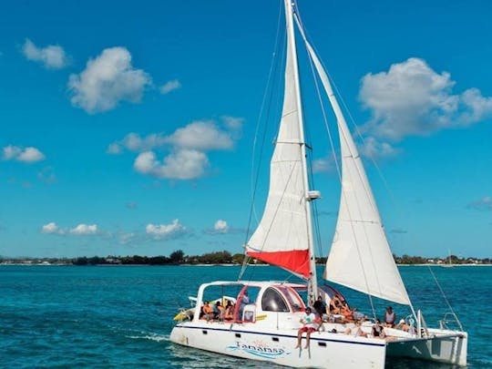 Tamamsa on Crusie