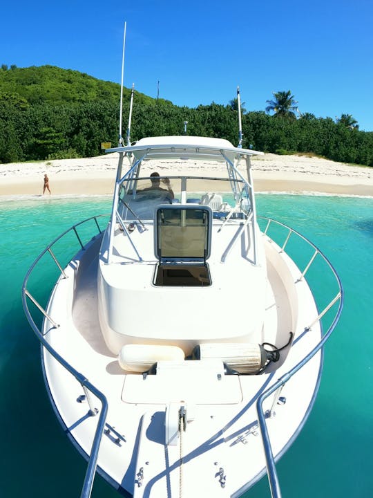 Hydra Sport CC - Private Cruise All inclusive Culebra, Flamenco Beach, Luis Pena