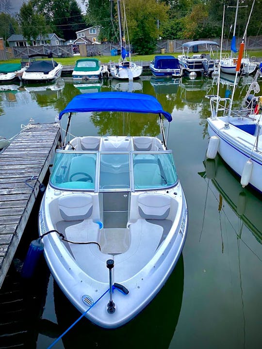 Explore Ontario lakes with our 17 ft Bayliner 175!