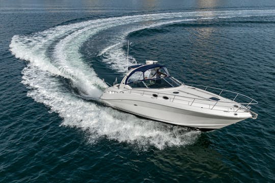 Bay Cruiser Sea Ray de 34 pies 
