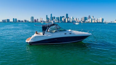 Sea Ray Sundancer 37" Private Cruise⚓️