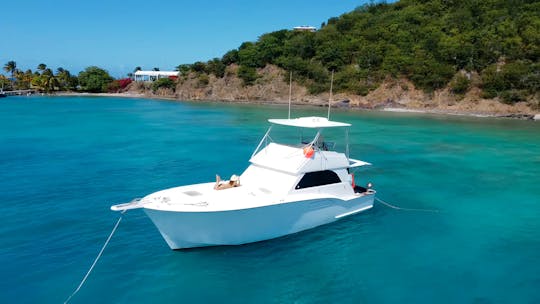 Excursión privada en barco, Fajardo PR, isla Icacos o isla Palomino, SEA BOB INCLUIDO