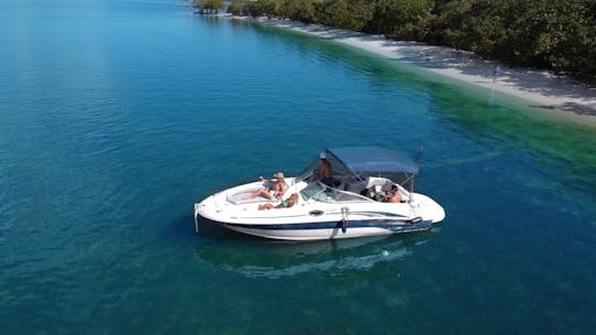 26' Sea Ray Sundeck à Miami ! Réductions énormes en semaine