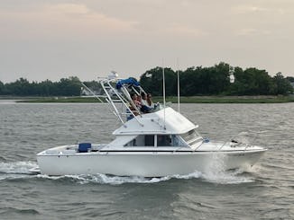 28' Bertram around islands in Norwalk