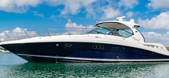 46 Searay - Enjoy The Best Party In Miami