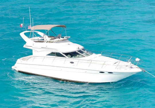 44 FT - SEA RAY FLYBRIDGE - MGNS - UP TO 15 PAX CANCUN, MEXICO