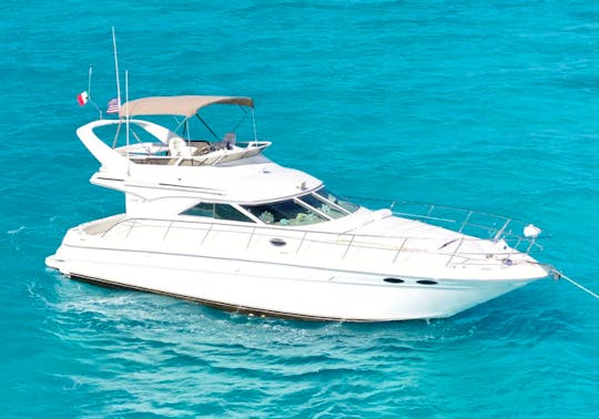 44 FT - SEA RAY FLYBRIDGE - MGNS - UP TO 15 PAX CANCUN, MEXICO