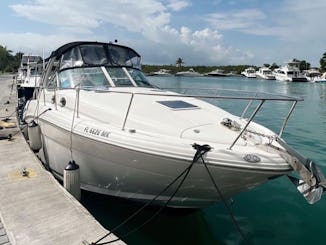 Enjoy Miami in 33FT SEARAY SUNDANCER for Charter!