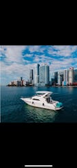 Enjoy Miami's Ocean Life on A Private Yacht; Night or Day Sea Ray 400 Flybridge