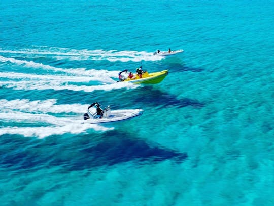 Explore os mares do sul de Creta com o Dolphin RIB de 21 pés