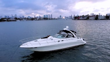 Impresionante yate SeaRay Sundancer de 45 pies