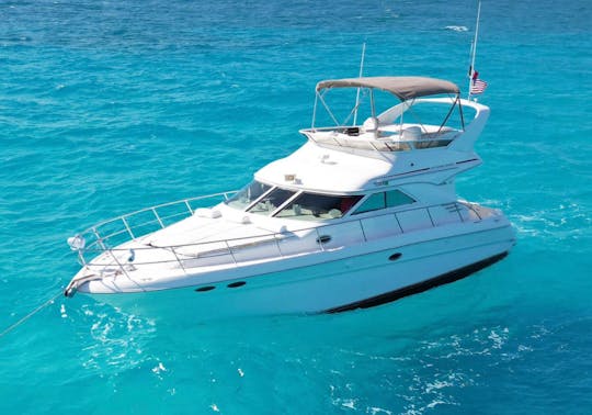 Yacht à moteur Sea Ray 44 pieds « Magnus » à Cancún, Quintana Roo 