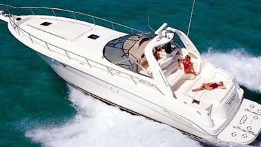 Sea Ray Sundancer, Chicago, Illinois