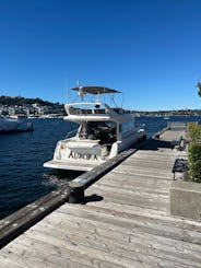 Husky Sailgating on a Yacht