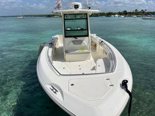 Saona Isalnd on private boat 