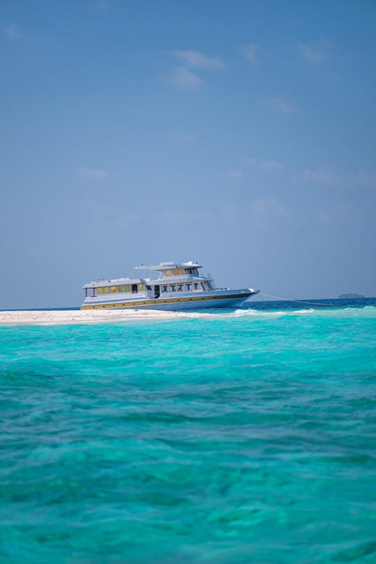 Pêche, plongée, croisière, surf aux Maldives