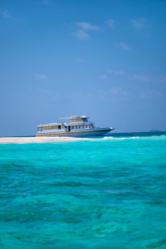 Fishing, Diving, Cruising, Surfing in Maldives