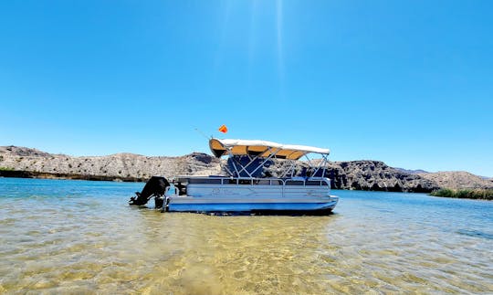 Promenades en bateau à l'heure sur un ponton de 22 pieds 