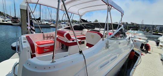 Barco de cruzeiro a motor de 30 pés | Aluguel de barcos para se divertir em Marina Del Rey