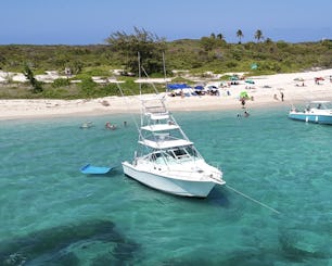 Cabo Yacht 38 Available For Large Groups