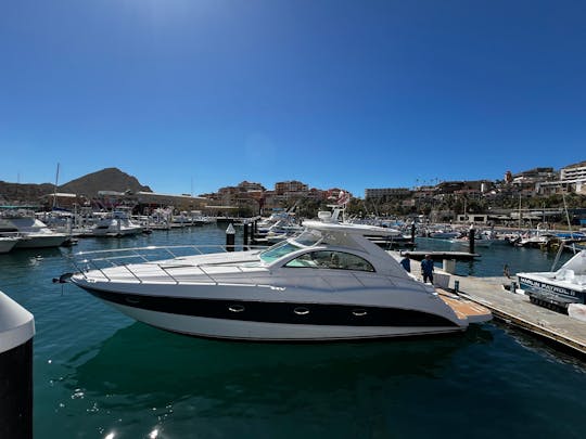 45ft Maxum Motor Yacht in Cabo