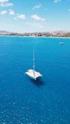 Excursions privées en catamaran sur l'île de Madère