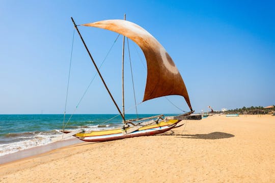 Catamaran Sunset Sailing in Mount Lavinia, Sri Lanka