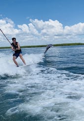 La mejor experiencia acuática en Clearwater Beach