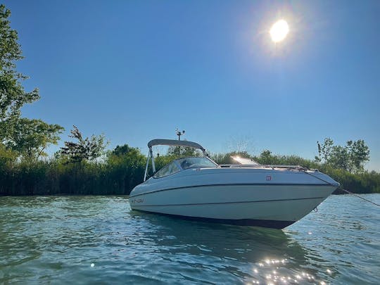 Stingray Power Boat in Cass Lake