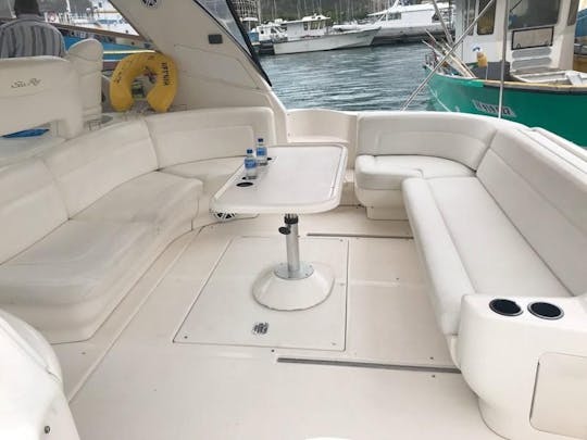 Sea Ray  46 ft. Motor Yacht Rental in İzmir, Turkey Kusadasi.