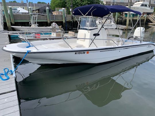 Half Day Rental | 22' Dauntless Boston Whaler in Hyannis Harbor, Massachusetts - Cape Cod