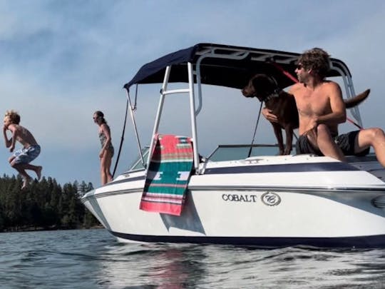 ***Lac Flathead ! 21' Cobalt, Polson/Skidoo Bay