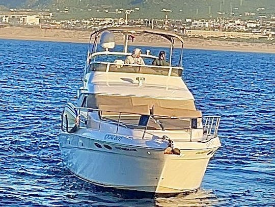 Location de yacht Sea Ray de 44 pieds à Cabo San Lucas, Mexique
