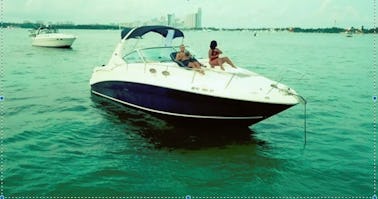  Luxury DMV Yacht - With Amazing Tour of DC. With Fruits & Champagne Included