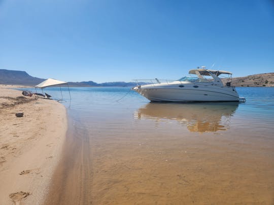 Unleash Adventure: Luxury Sun Dancer 280 Boat Charter on Lake Mead