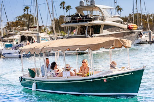 Location de bateaux électriques privés à Venice Beach