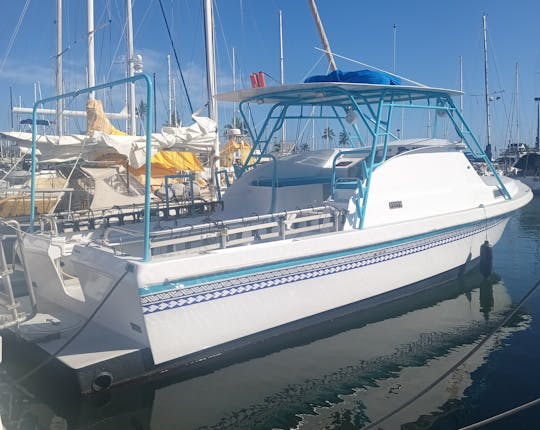 39' Force Dive Boat, 23 Passengers