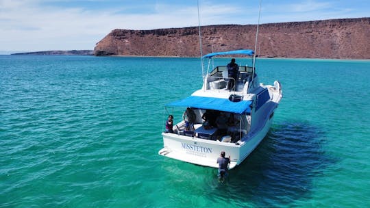 Custom 45ft Motor Yacht for Cruising in Baja California Sur