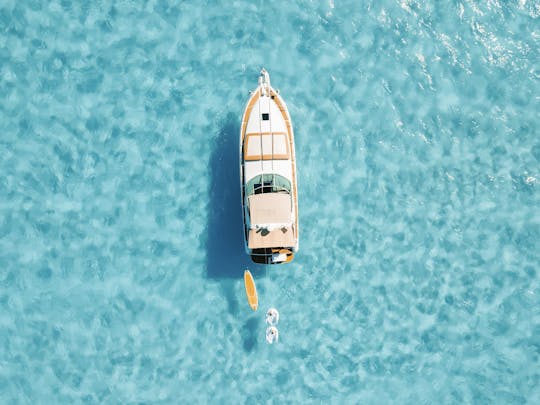 Magnifique Sea Ray de 43 pieds, jusqu'à 15 personnes avec structures gonflables et planche à pagaie