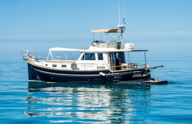 Menorquin XV Yacht Charter