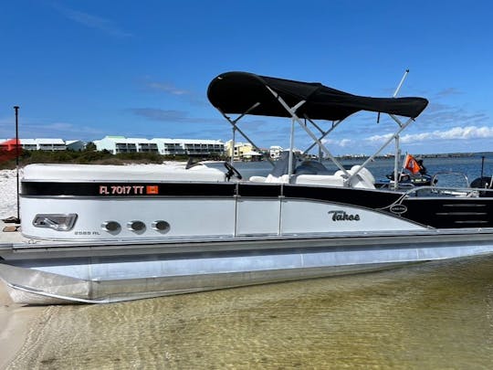 Beautiful Tritoon cruiser! Dolphin 🐬 Cruises, Sand bar fun! 🏖️