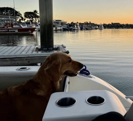 22ft Cobia Center Console in San Pedro