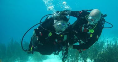 Private scuba diving trips Muscat