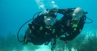 Viajes privados de buceo en Muscat