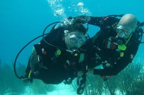 Private scuba diving trips Muscat