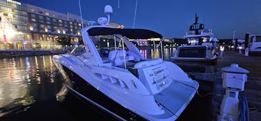 Fretamento exclusivo no National Harbor 