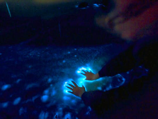 Private Sunset and Bioluminescence Tours- Cocoa Beach Up to 6 Passengers