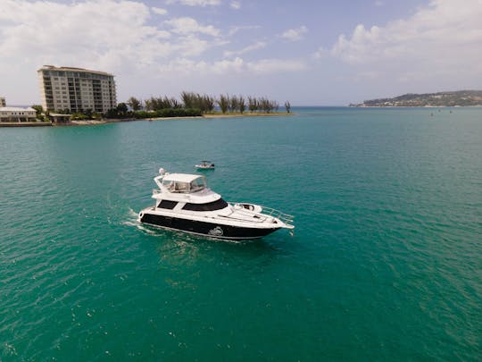 Ultra Luxurious Sea Ray Sedan 55ft Yacht in Montego Bay Jamaica! Private Tours!